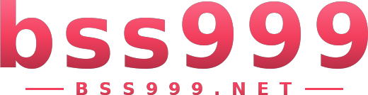 bss999 logo